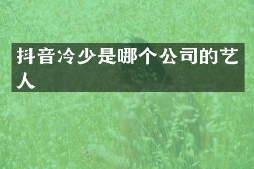 抖音冷少是哪个公司的艺人