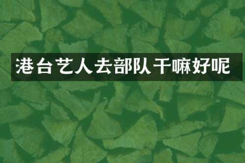 港台艺人去部队干嘛好呢