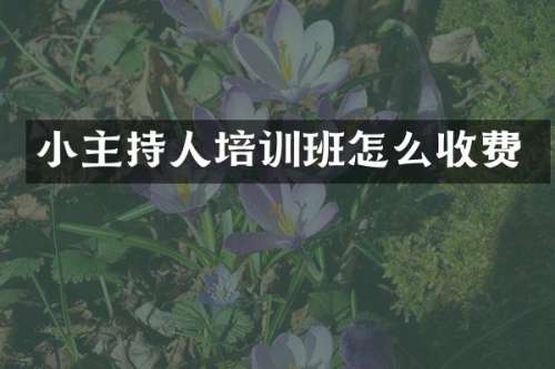 小主持人培训班怎么收费