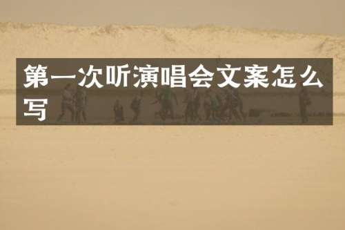 第一次听演唱会文案怎么写