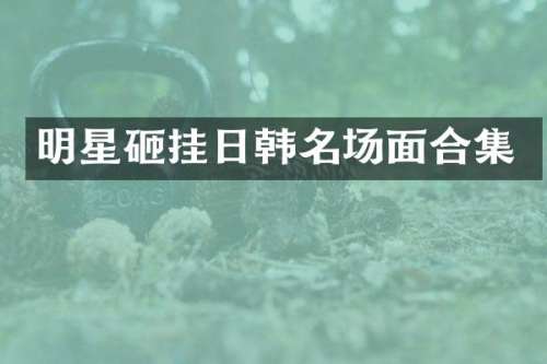 明星砸挂日韩名场面