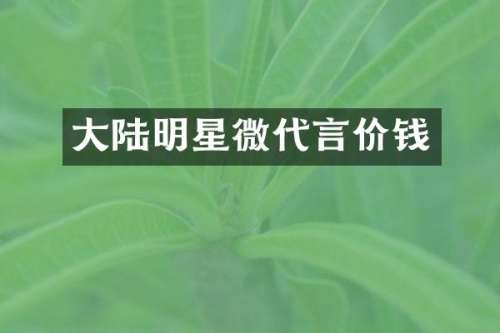 大陆明星微代言价钱