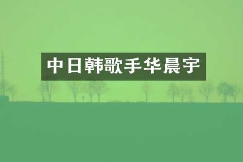 中日韩歌手华晨宇