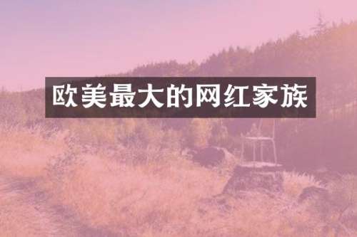 欧美最大的网红家族