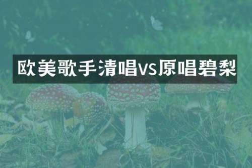 欧美歌手清唱vs原唱碧梨