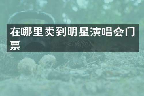 在哪里卖到明星演唱会门票