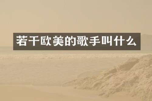 若干欧美的歌手叫什么