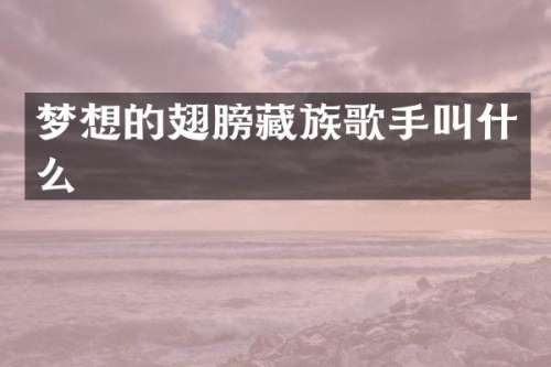 梦想的翅膀藏族歌手叫什么