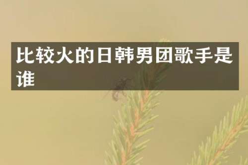 比较火的日韩男团歌手是谁
