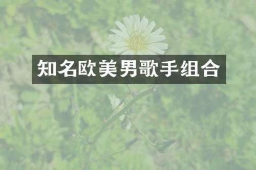 知名欧美男歌手组合