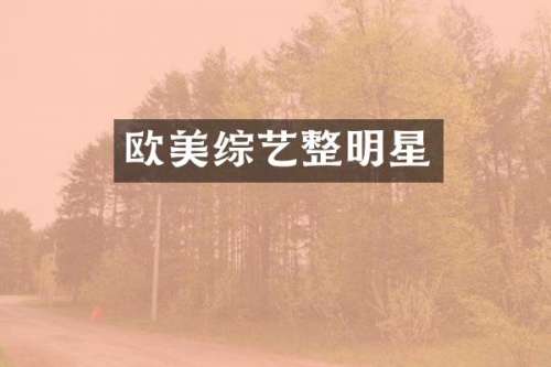欧美综艺整明星