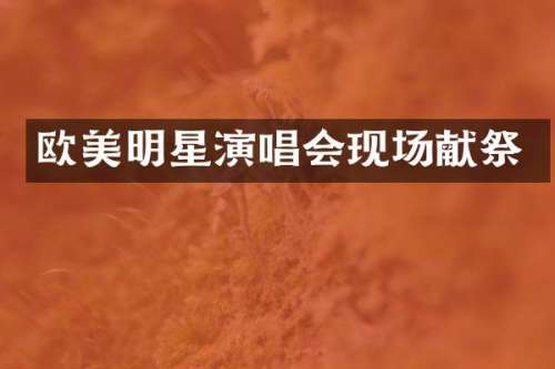 欧美明星演唱会现场献祭