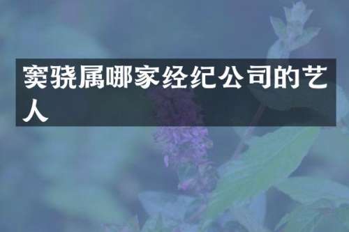 窦骁属哪家经纪公司的艺人