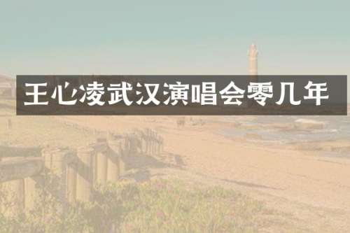 王心凌武汉演唱会零几年