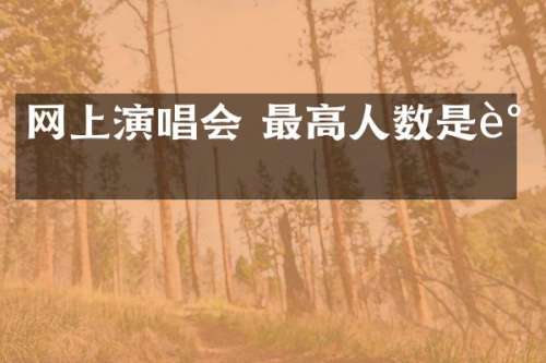 网上演唱会 最高人数是谁