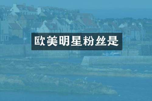 欧美明星粉丝是
