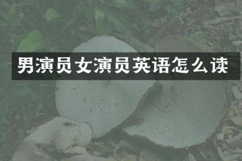男演员女演员英语怎么读