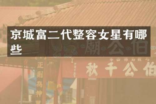 京城富二代整容女星有哪些