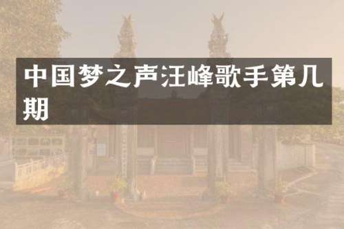 中国梦之声汪峰歌手第几期