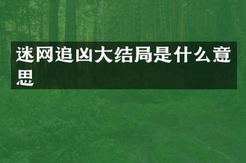 迷网追凶大结局是什么意思