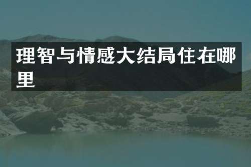 理智与情感大结局住在哪里