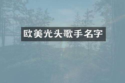 欧美光头歌手名字
