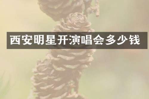 西安明星开演唱会多少钱