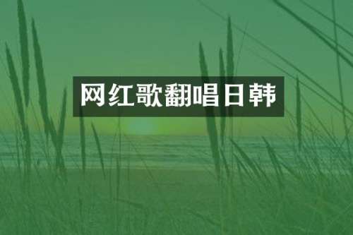 网红歌翻唱日韩