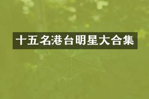 十五名港台明星大