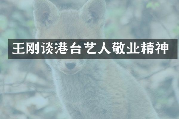 谈港台艺人敬业精神