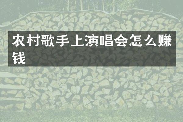 农村歌手上演唱会怎么赚钱