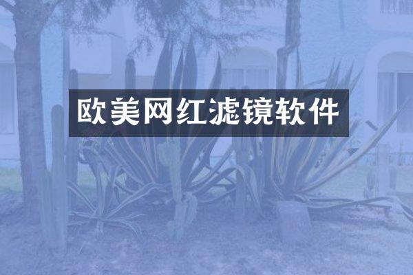 欧美网红滤镜软件