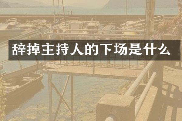 辞掉主持人的下场是什么