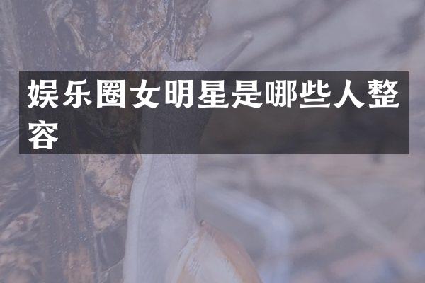 娱乐圈女明星是哪些人整容