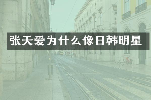 张天爱为什么像日韩明星