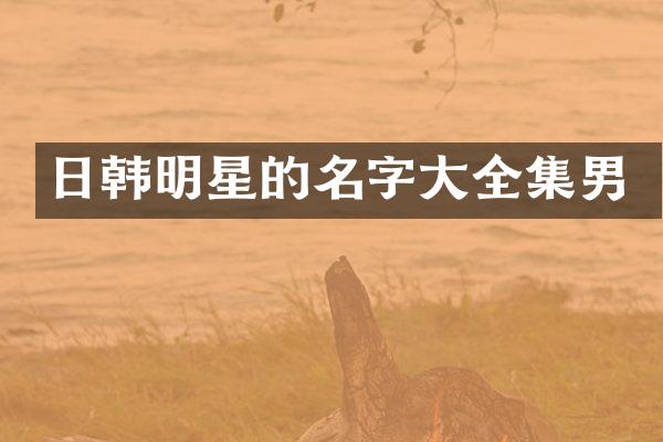 日韩明星的名字大全集男