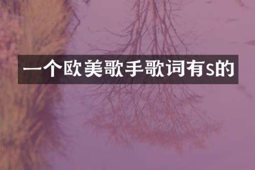 一个欧美歌手歌词有s的