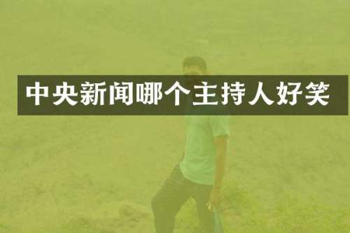 中央新闻哪个主持人好笑