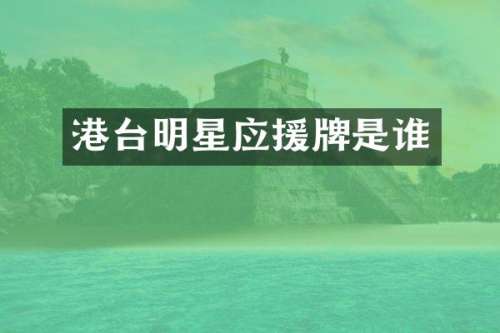 港台明星应援牌是谁