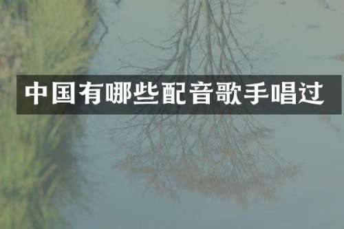 中国有哪些配音歌手唱过