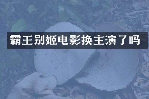 霸王别姬电影换主演了吗