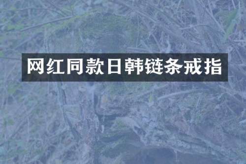 网红同款日韩链条戒指
