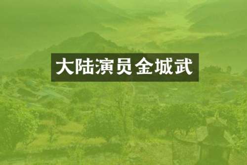大陆演员金城武