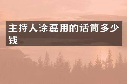 主持人涂磊用的话筒多少钱