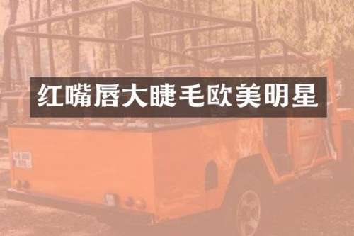 红嘴唇大睫毛欧美明星