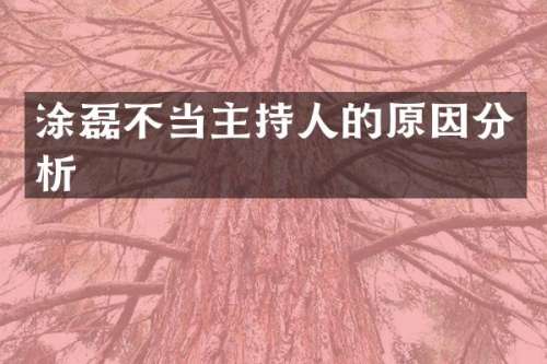 涂磊不当主持人的原因分析
