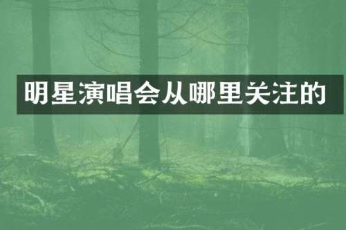 明星演唱会从哪里关注的