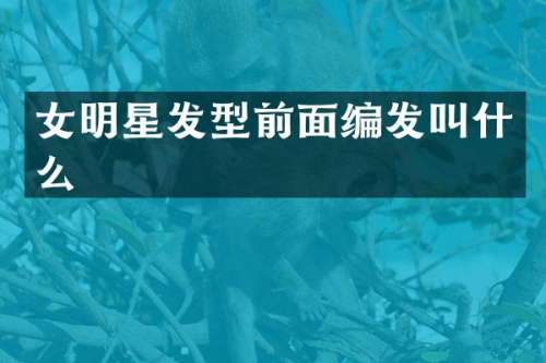 女明星发型前面编发叫什么