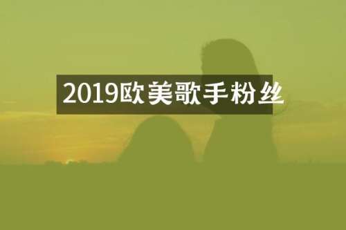 2019欧美歌手粉丝