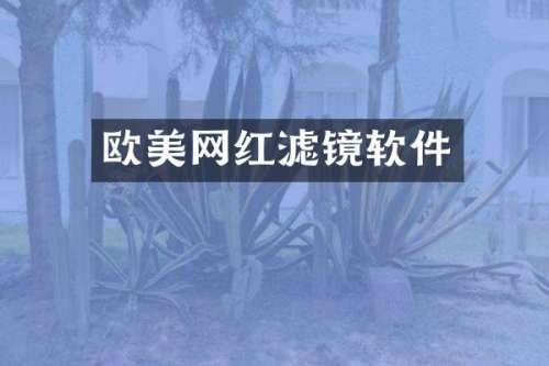 欧美网红滤镜软件